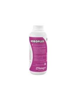 BOROPLUS  1LT/VALAGRO